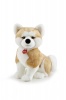 Trudi Classic Dog Akita Ascanio Plush - 36cm Photo