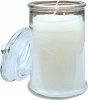 Clover Leaf Candles Cinnamon Scented Large Glass Jar Candle Photo