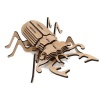 Wow We - 3D Wooden Model Insects Stag Beetle Photo