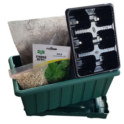 Photo of Kale Seeds Grow Kit With Pot