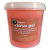 99ZERO7 Citrus Gel 5KG Photo