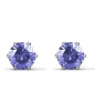Crystalize 925 Silver February Birthstone Earrings with Swarovski Crystals Photo