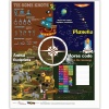 Thuto Teach Interactive Camping Games Mat - English Photo