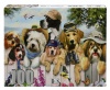 RGS Group Animals Line Up 100 piece jigsaw puzzle Photo