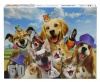 RGS Group Summer Fun 60 piece jigsaw puzzle Photo