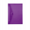 Butterfly Carry Folders Pvc 160 - A3 - Violet Photo