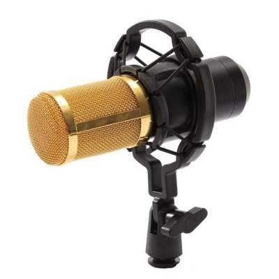 Photo of BM800 Condenser Microphone Recording With Shock Mount Kit