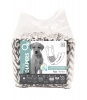 Mpet M-Pets Male Dog Diapers - Medium Photo