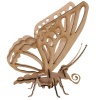 Wow We - 3D Wooden Model Insects Exotic Butterfly Photo