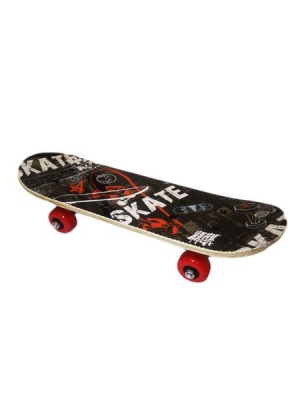 Photo of Umlozi Mini Skateboard - Skate Life - 45cm