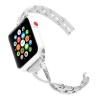 Fabuloulsy Fit Fabulously Fit Apple Watch 38/40mm Silver Diamante Linked Strap Photo