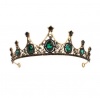Olive Tree - Rhinestone Crystal Styled Tiara 24 - Bridal / Formal Event Photo