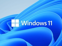 Microsoft Windows 11 Professional Edition