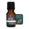 Soil Organic Rosemary 10ml Photo