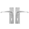 BBL Steel Lever Handles Photo