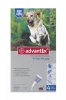 Advantix Extra Large Dog 4.0ml - 4 pipettes - 25kg Blue - For Ticks Photo