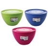 Bulk Pack x 3 Salad Bowl Plastic With Lid 4.3 Liter Elegant Photo