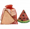 Eye Dears Mosaic Craft Kit with Magnet - Watermelon Photo