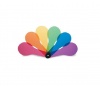 EDX Education Colour Paddle Photo