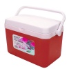 4 Litre Cooler Box Photo