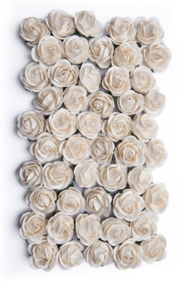 Photo of Bloom Chelsea Roses - Ivory