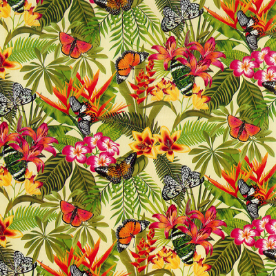 Photo of Gift Wrapping Paper 5m Roll - Tropical Butterfly