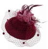Elegant Net Hat Photo