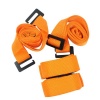 Furniture Moving Belts Photo