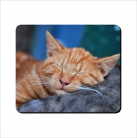 Mouse Pad Sleeping Ginger Cat