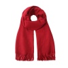 Light weight soft pashmina. 180cm X 70cm. Photo