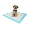 Large Pack Ultra Absorbent Training Pads Photo