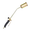 Safegas Blowtorch Photo