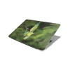 Laptop Skin/Sticker - Ringneck Parakeet Photo