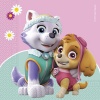 Paw Patrol Skye&Everest Two Ply Paper Napkin Photo