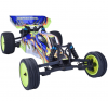 HSP Radio Control Buggy Car Photo