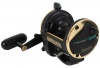 Daiwa Sealine Reel SL30SHK Photo