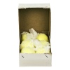 SNS Yellow Match Dimple Hockey Balls - Box of 6 Photo