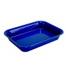 Dalebrook Food Storage Tray Pacific San Essential 300 Photo