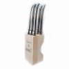 Andre Verdier Laguiole Stainless Steel steak knife set in block Photo