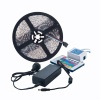 FOYU High Quality 12V 5m 5050 RGB Led Strip Light Photo