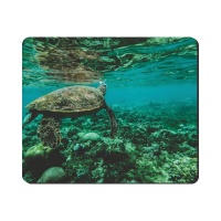 Mouse Pad Underwater Turtle
