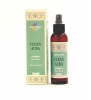 Sacred Elements Clean Aura - Purifying Room Spray Photo