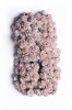 Bloom Miniature Roses - Pink Mist 1.5cm Photo