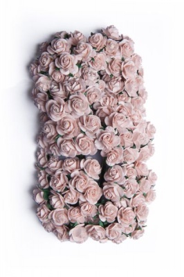 Photo of Bloom Miniature Roses - Pink Mist 1.5cm
