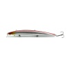 Anew Long Minnow Lure Photo