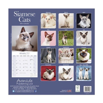 Photo of CHEF HOME Cats Siamese 2021 Wall Calendar - Cats