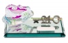 21st Key - Pink Dolphin In Glass Block On Mirror Base With Engraving Plate Photo