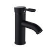 Trendy Taps BTB009- Blackened Brass Short Basin Mixer Photo