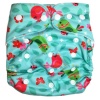 Fancypants Bamboo Cloth Nappy - Birdie Photo