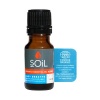 Easy Breathe Essential Oil Blend Photo